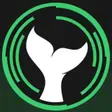 Crypto Brainy channel logo
