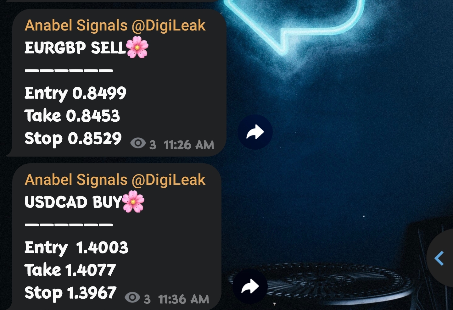 1000065088