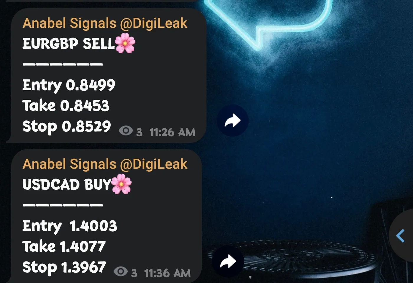 1000065088