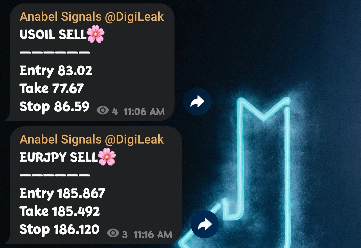 1000065086