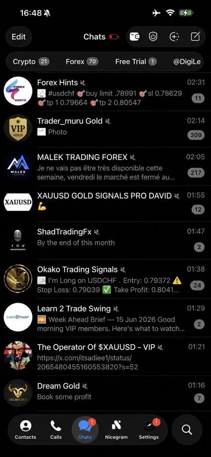Unedited screenshot of the forex folder inside a member's Telegram, each VIP channel a separate chat