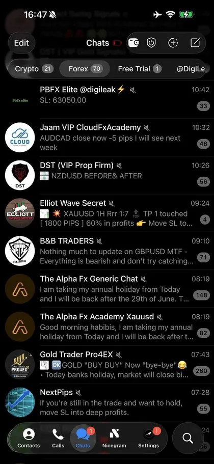 Unedited screenshot of the forex folder inside a member's Telegram, each VIP channel a separate chat