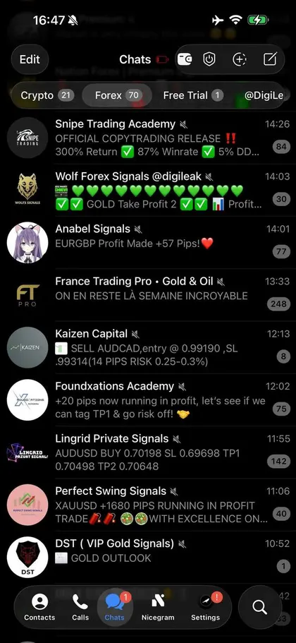 Unedited screenshot of the forex folder inside a member's Telegram, each VIP channel a separate chat